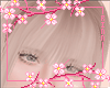 R. Bangs