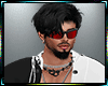 Alain Amiri BUNDLE