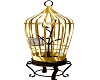 Bird Cage de oro