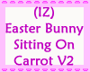 Easter Bunny Sit Carrot2
