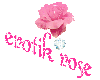 erotik rose with diamond