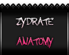 -A- Zydrate Anatomy