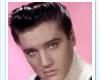 Elvis #12