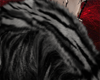 𝔁. Faux fur