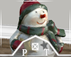 Christmas Snowman Decor