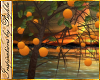 I~Isle Orange Tree