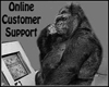 :) Online support