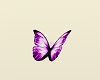 ~K7~ Purple Butterflies