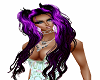 *wc*  purple shay 2000