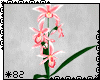 *82 Boat Orchids Pink