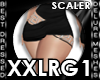 ! 139 XXLRG Scaler V1