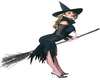 Stiffers Wicked Witch