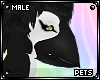 [Pets] Mumble | beak