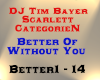 DJ Tim Bayer - Better Of