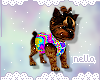 Yorkie Pup. TieDye.