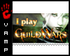 I Play Guild Wars