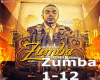 Zumba Campaign