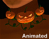 pumpkins choker ANI