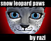 Snow Leopard Paws