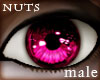 n: pink eyes M