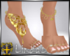 Feet + Gold Tatt +Rings