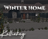 Winter House  Night