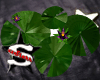 xxStarr Purple Lily Pad