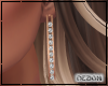 Rose Gold Earrings