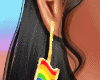 🌈 Pride earrings