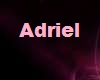 Door to DRE