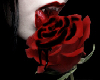 [BDJ] Vamp Rose