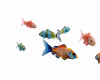 Fishs  Exotic Animated