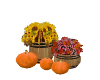 Fall flowers & Pumpkins