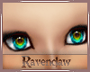 No Eywbrows SH