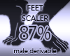 Foot Scaler 87%