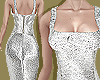 Silver Metallic Dress