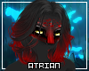 A| Aithalos A Hair V3
