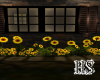 ~Sunflowers~