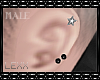 [xx]Star Stud Earrings M