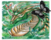 emerald dragon sticker