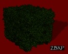 Square Hedge