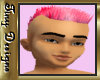 Tiny Jay's Pink Hair