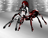 red sit spider