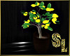 *Black & Gold Lemon Tree