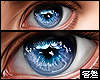 🅉 - Perfect Eyes