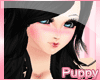[Pup] Apple Night