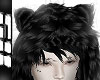 ♱bear fur + hair♱