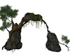 Rock and Tree Arch