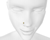 Gold Nose Piercing