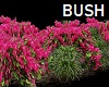 Flowers Bushes